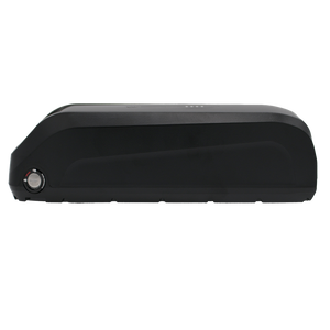 electric bicycle batteries australia Shan Shan Aulong 4